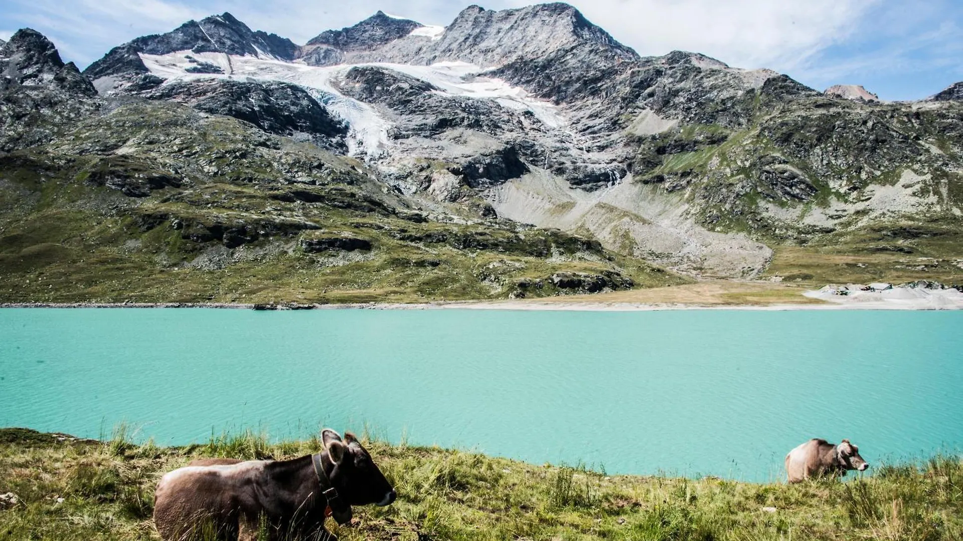 Albergo Meublè Stelvio Tirano