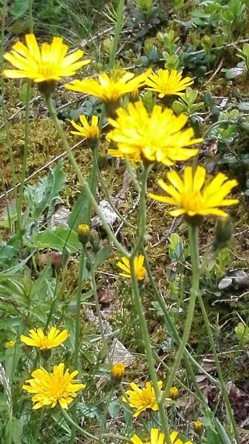 B&B Corte Rossa Tirano Italy
